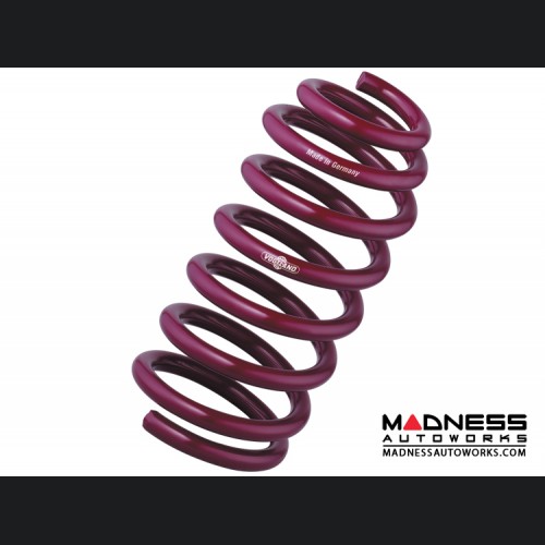 Fiat 500 Rear Springs Set OEM 1957-1975